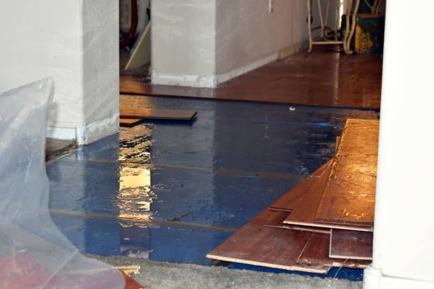 Professional Water Damage technician working in East Freetown, MA