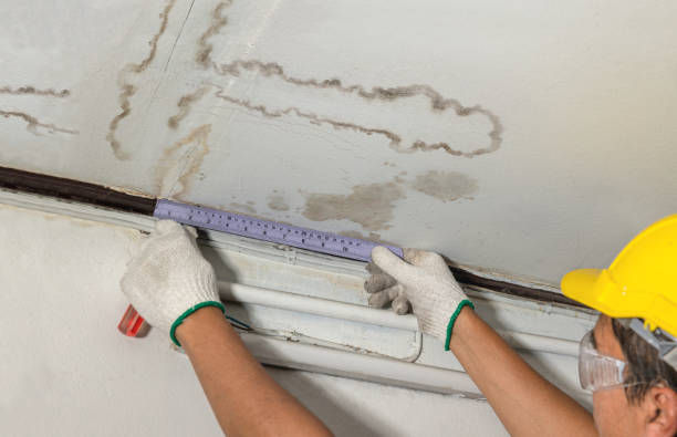 Reliable Water Damage contractor in East Freetown, MA by Water Damage Irwin